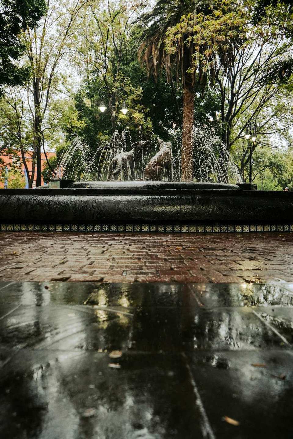 The Fuente de los Coyotes fountain in Coyoacan, Mexico City.