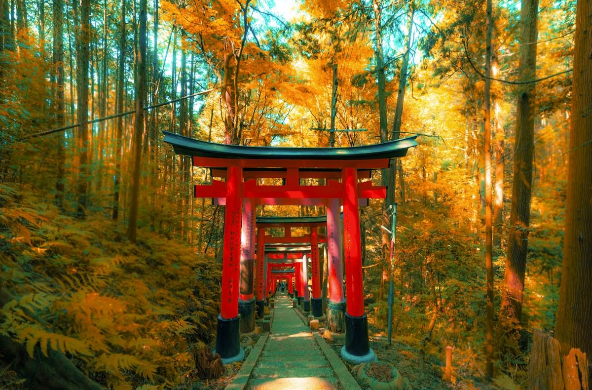 Red torii gates at Fushimi Inari Taisha in Kyoto.